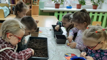 Огород на подоконнике Огород на подоконнике.